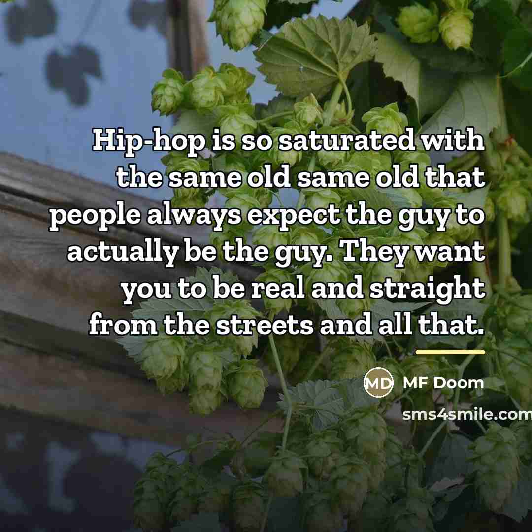 “Hip-hop is so saturated with the same old same old…” quote by MF Doom