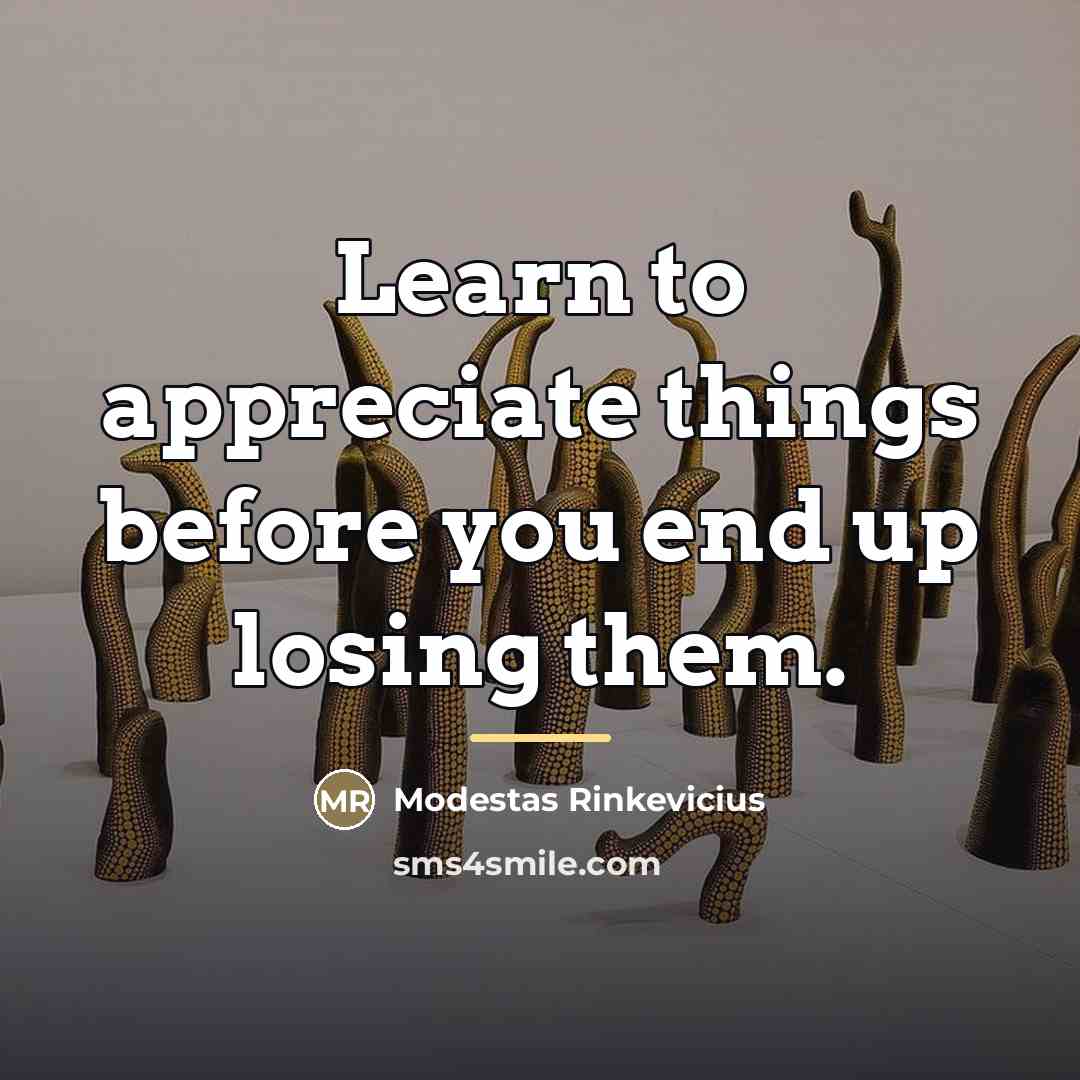 “Learn to appreciate things before you end up losing them.…” quote by Modestas Rinkevicius