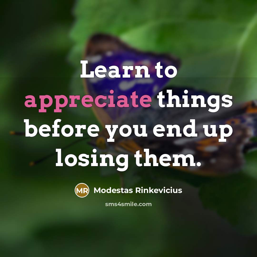 “Learn to appreciate things before you end up losing them.” quote by Modestas Rinkevicius