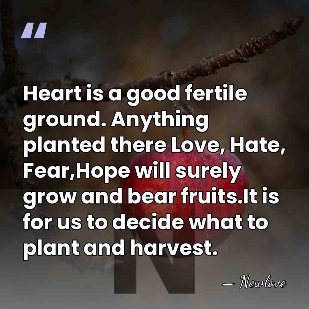 Heart is a good fertile ground. Anything planted there Love, Hate, Fear,Hope&hellip; - Newlove