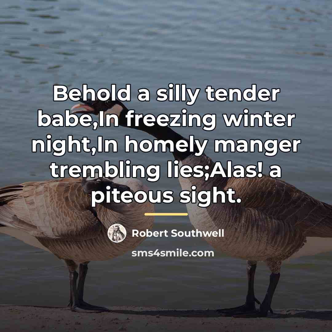 “Behold a silly tender babe,In freezing winter night,In homely manger…” quote by Robert Southwell