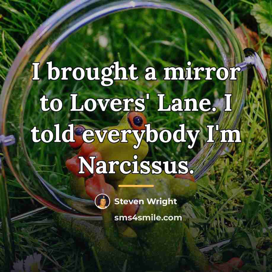 “I brought a mirror to Lovers' Lane. I told everybody…” quote by Steven Wright
