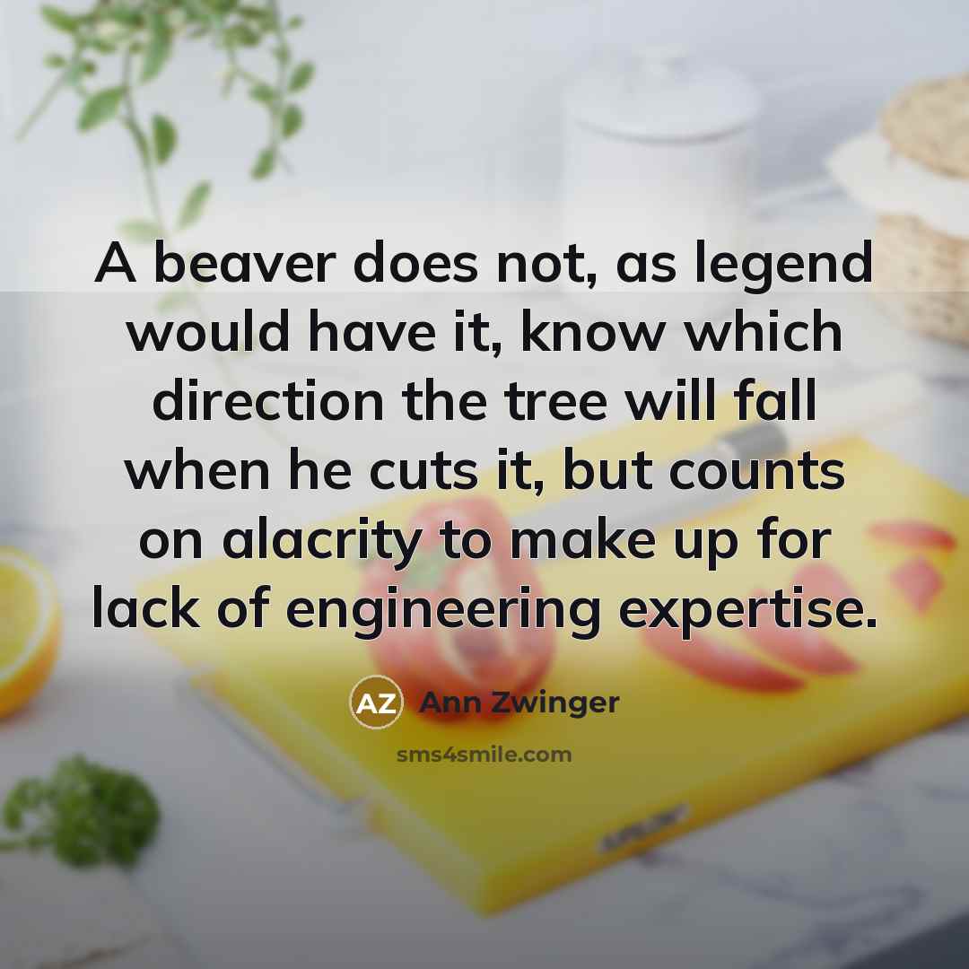 “A beaver does not, as legend would have it, know…” quote by Ann Zwinger