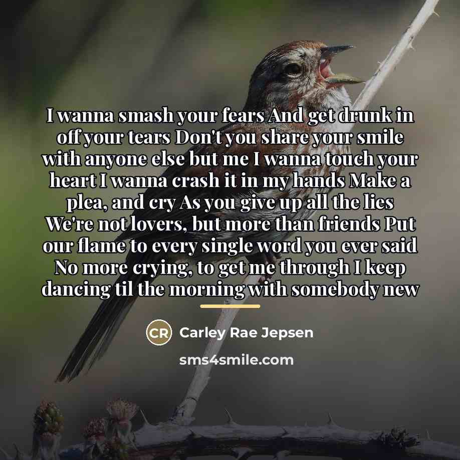 “I wanna smash your fears And get drunk in off…” quote by Carley Rae Jepsen