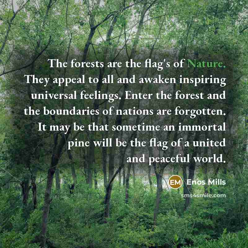 “The forests are the flag's of Nature. They appeal to…” quote by Enos Mills