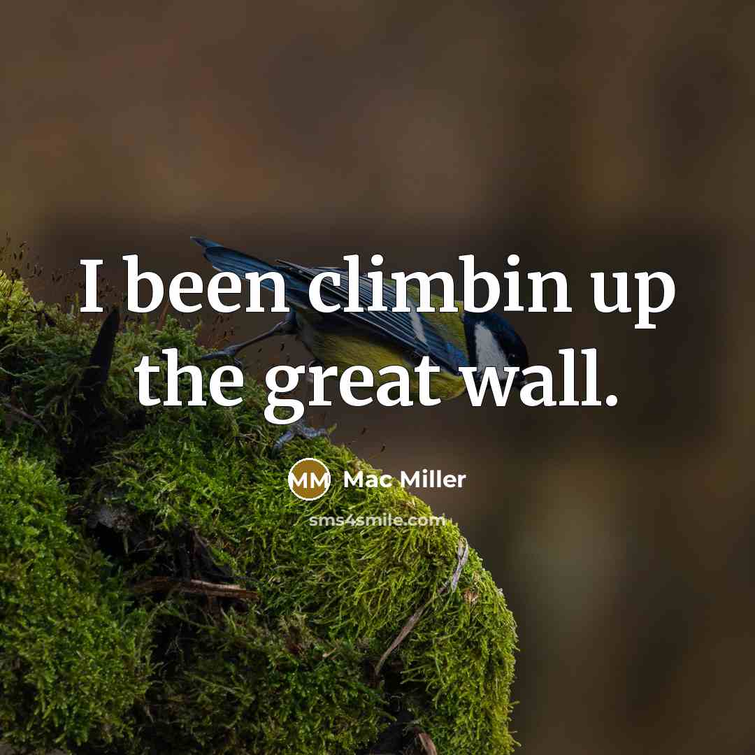 “I been climbin up the great wall.…” quote by Mac Miller