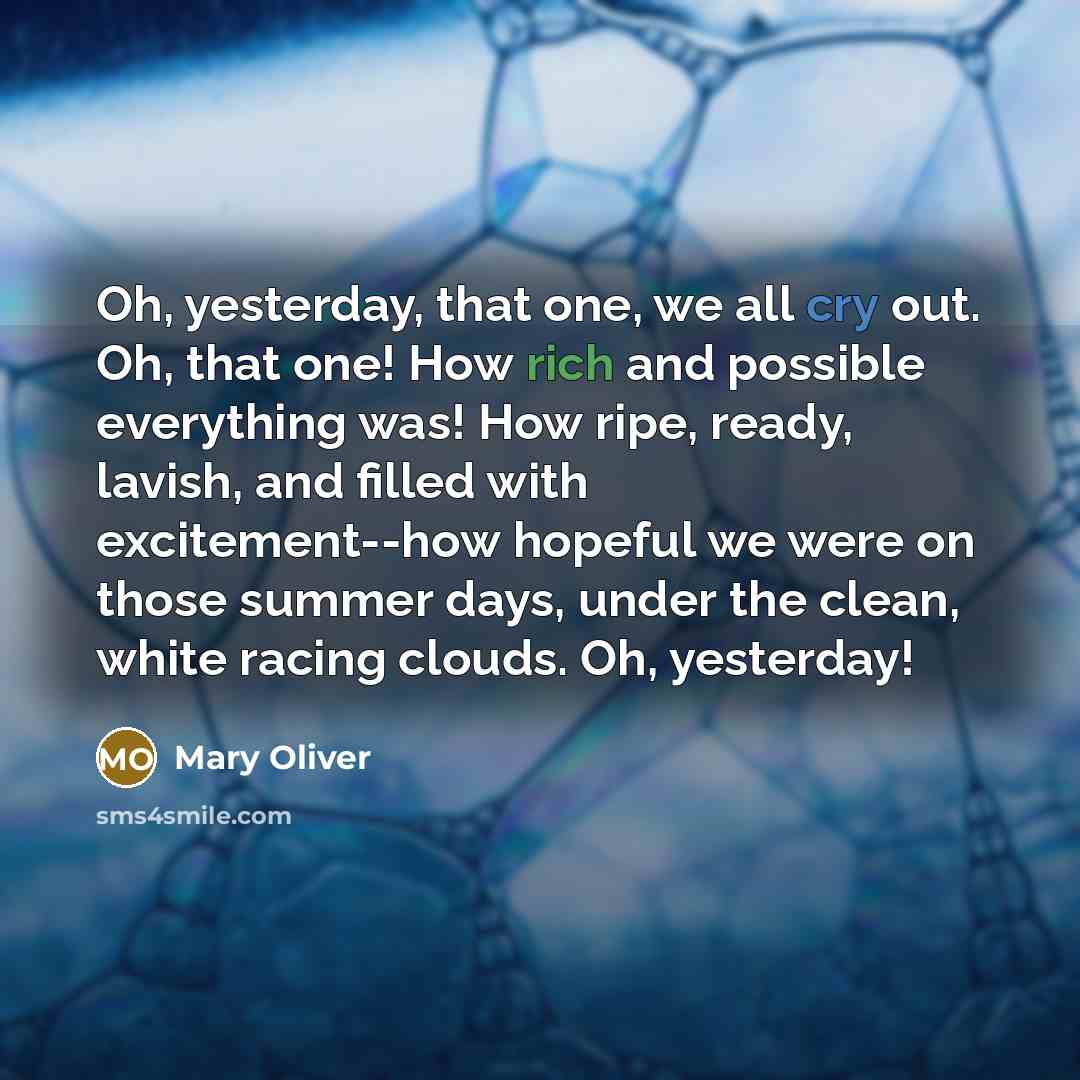 “Oh, yesterday, that one, we all cry out. Oh, that…” quote by Mary Oliver
