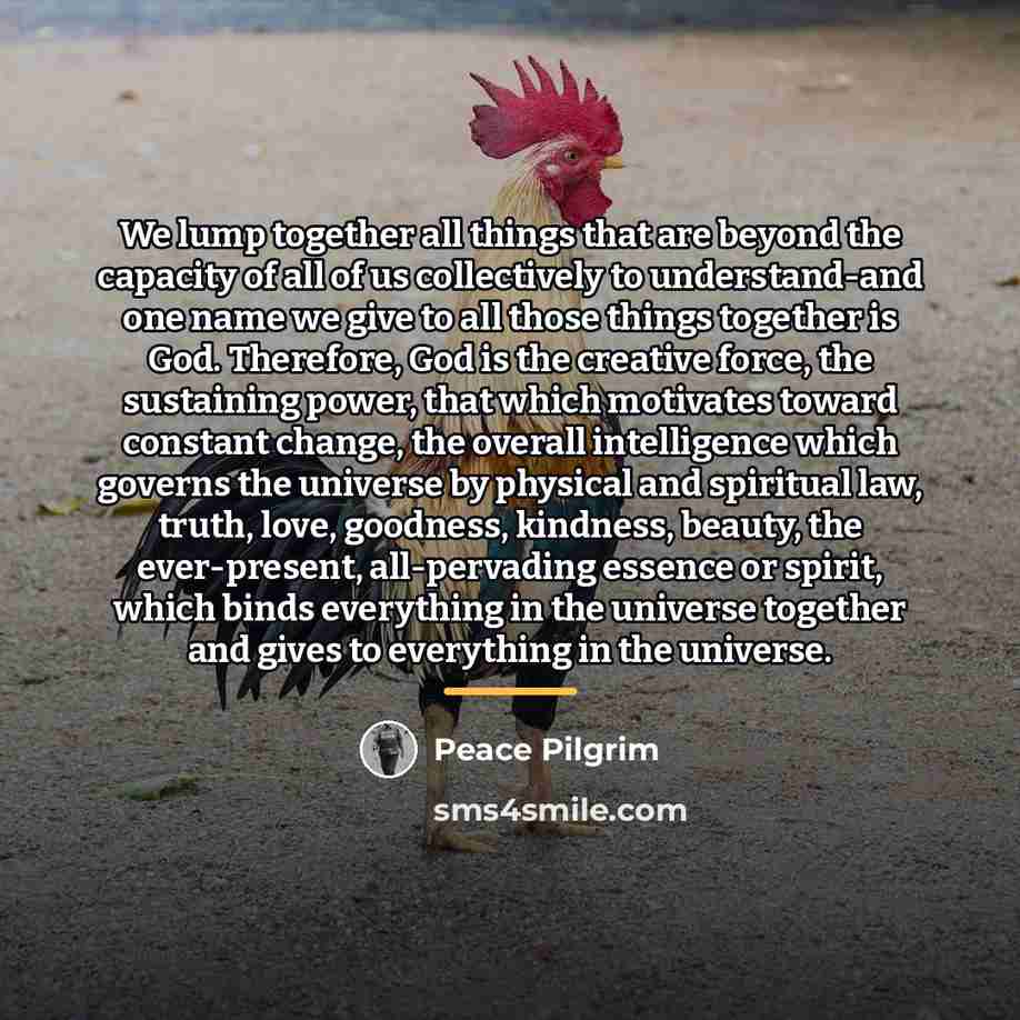 “We lump together all things that are beyond the capacity…” quote by Peace Pilgrim