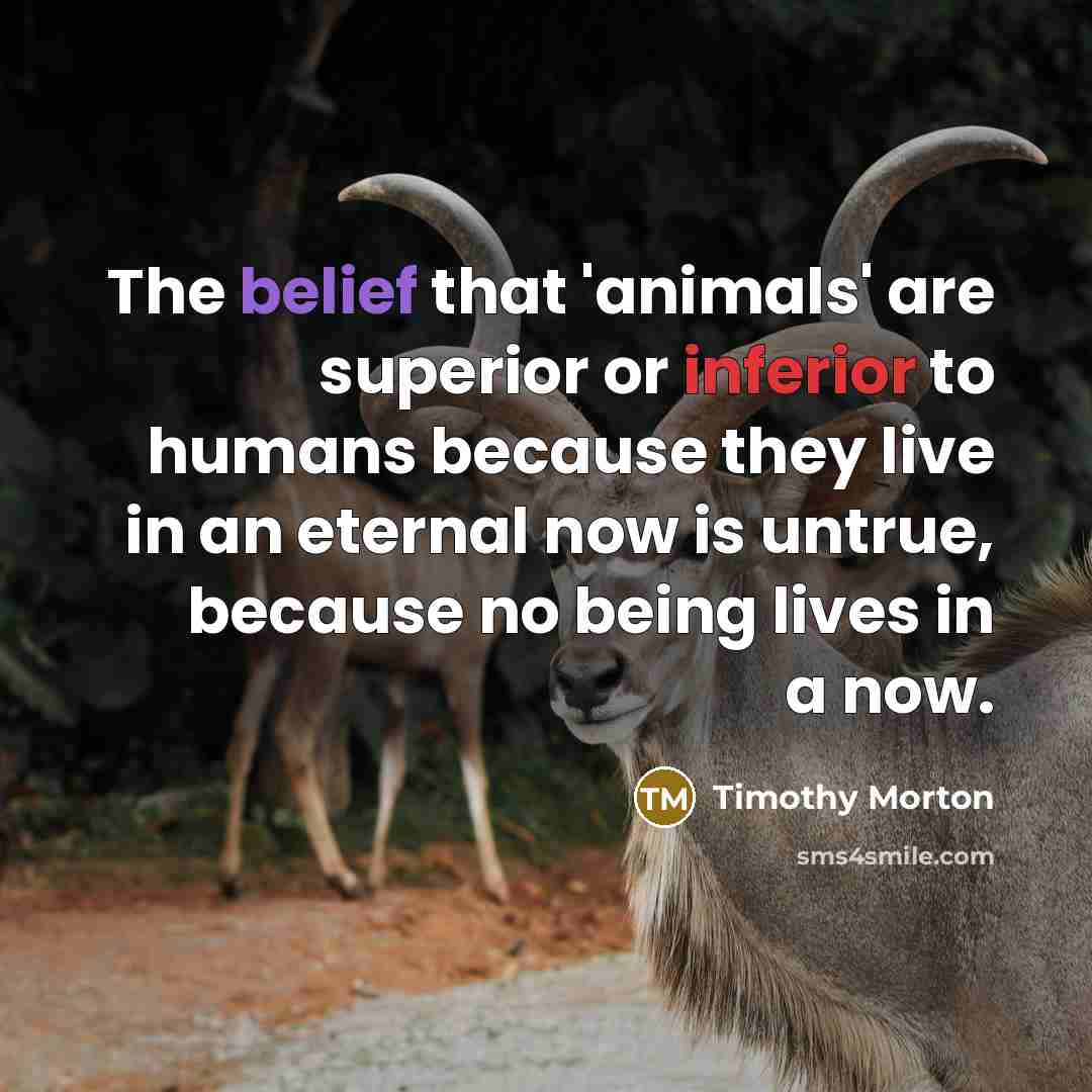 “The belief that 'animals' are superior or inferior to humans…” quote by Timothy Morton