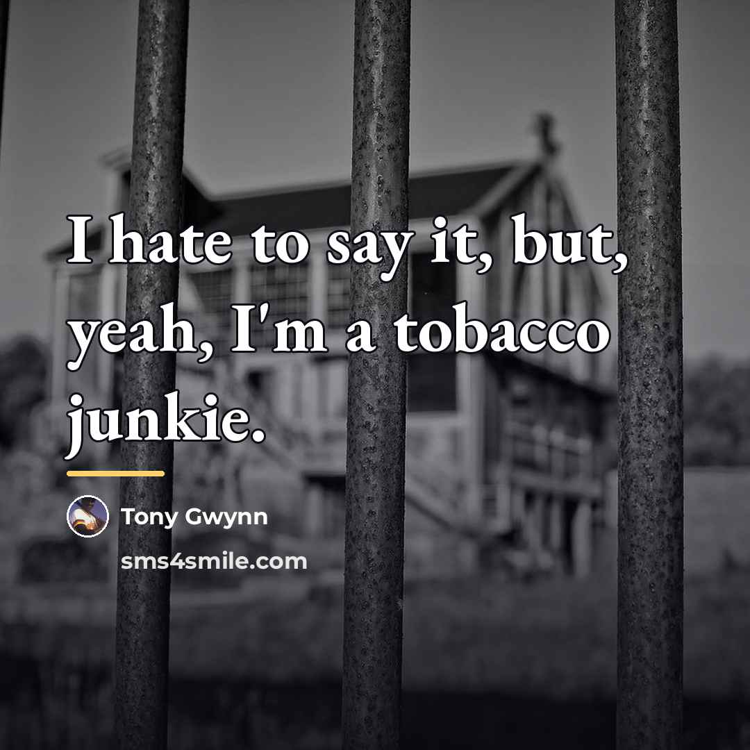 “I hate to say it, but, yeah, I'm a tobacco…” quote by Tony Gwynn