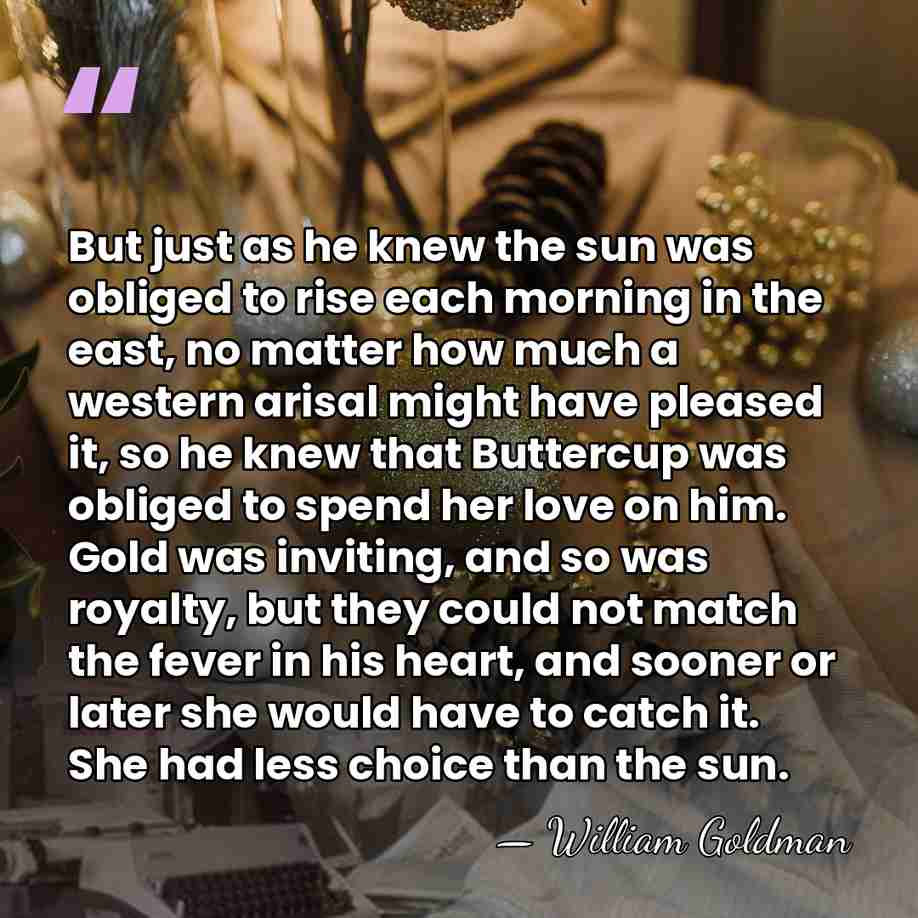 But just as he knew the sun was obliged to rise each&hellip; - William Goldman