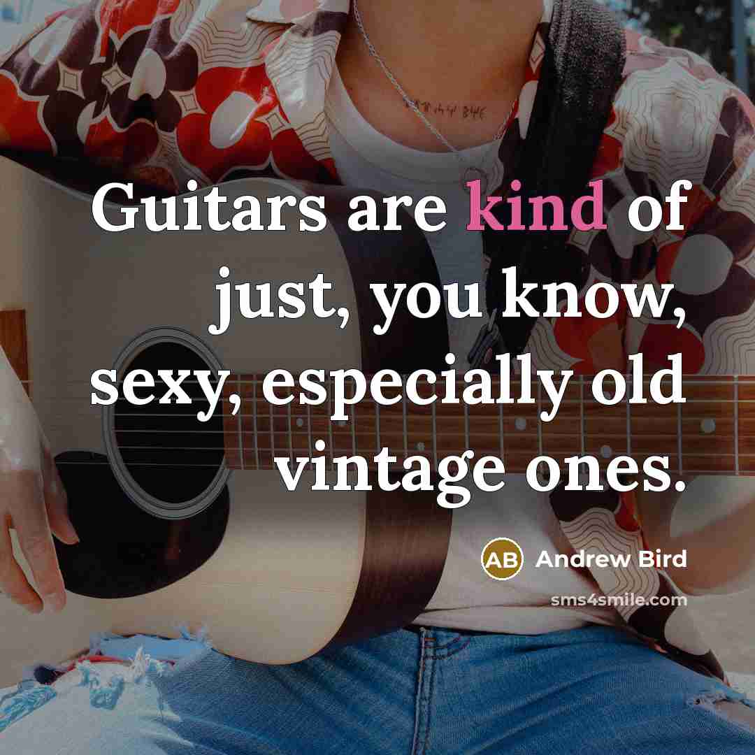 “Guitars are kind of just, you know, sexy, especially old…” quote by Andrew Bird