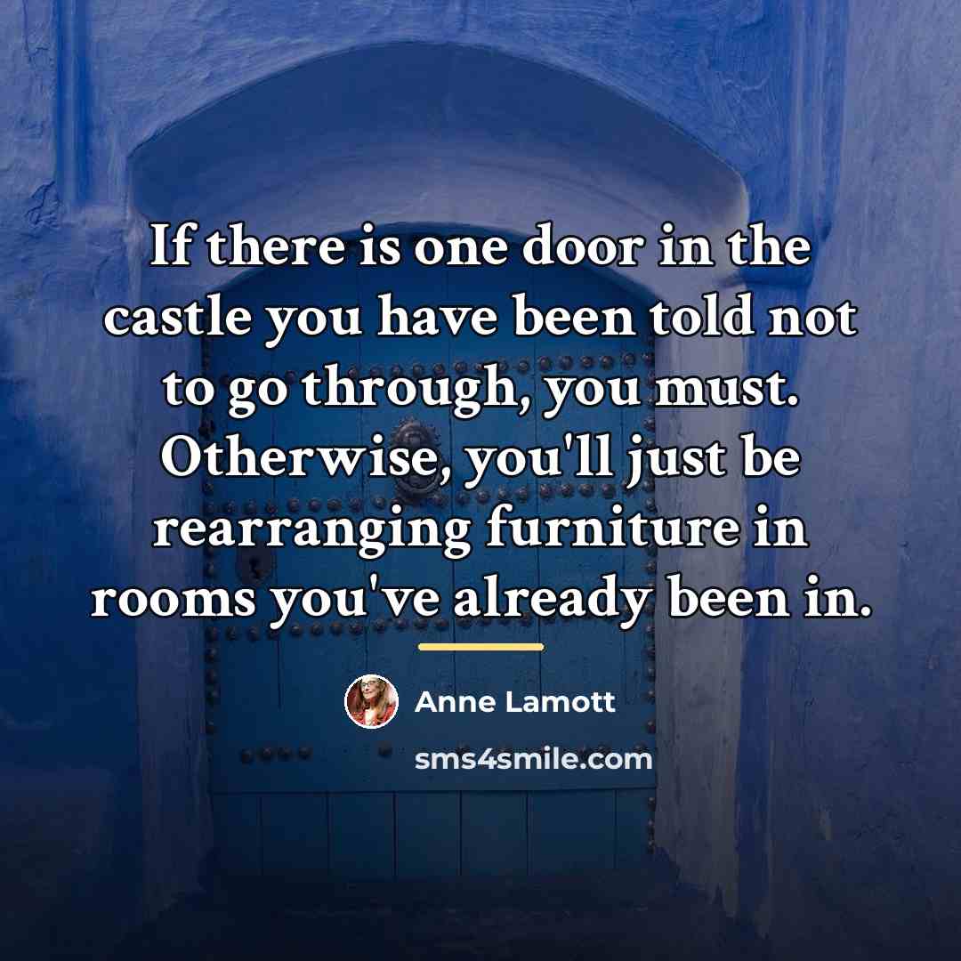 “If there is one door in the castle you have…” quote by Anne Lamott