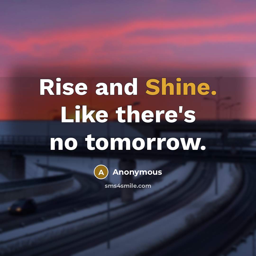 “Rise and Shine. Like there's no tomorrow.” quote by Anonymous