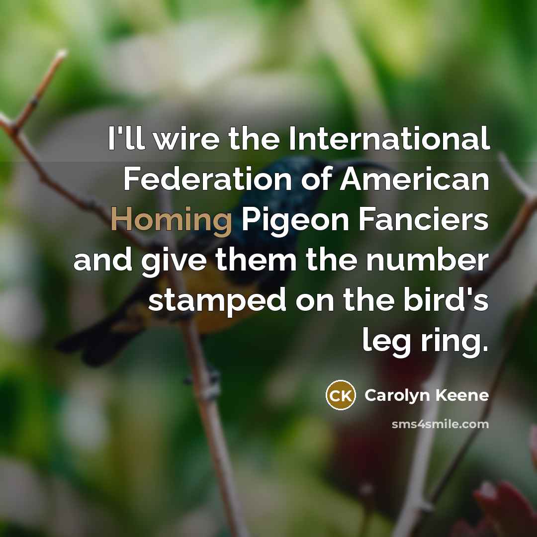 “I'll wire the International Federation of American Homing Pigeon Fanciers…” quote by Carolyn Keene