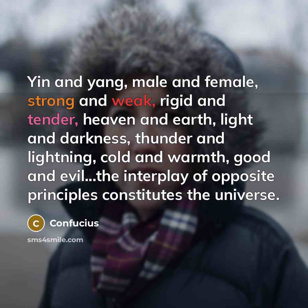 “Yin and yang, male and female, strong and weak, rigid…” quote by Confucius