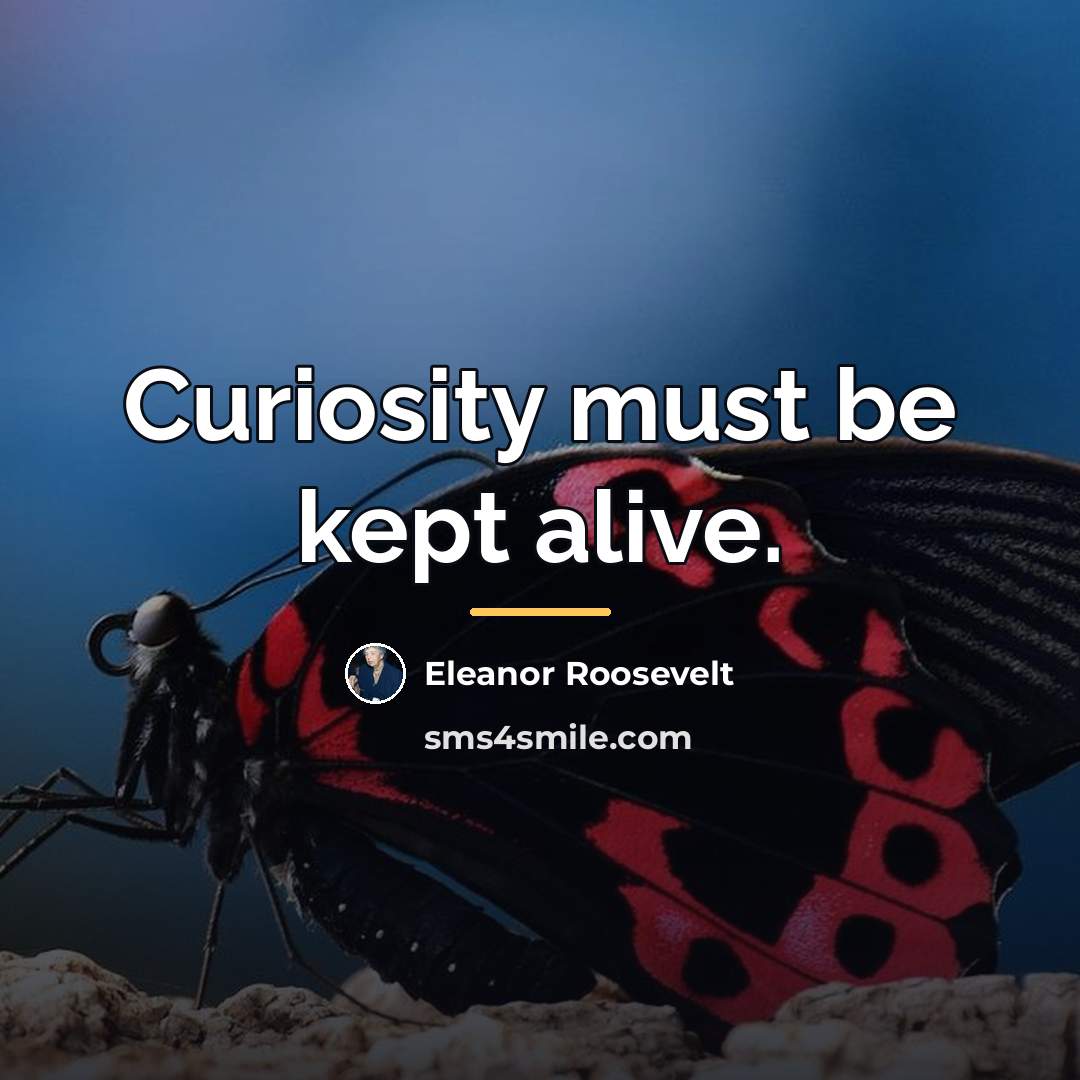 “Curiosity must be kept alive.…” quote by Eleanor Roosevelt