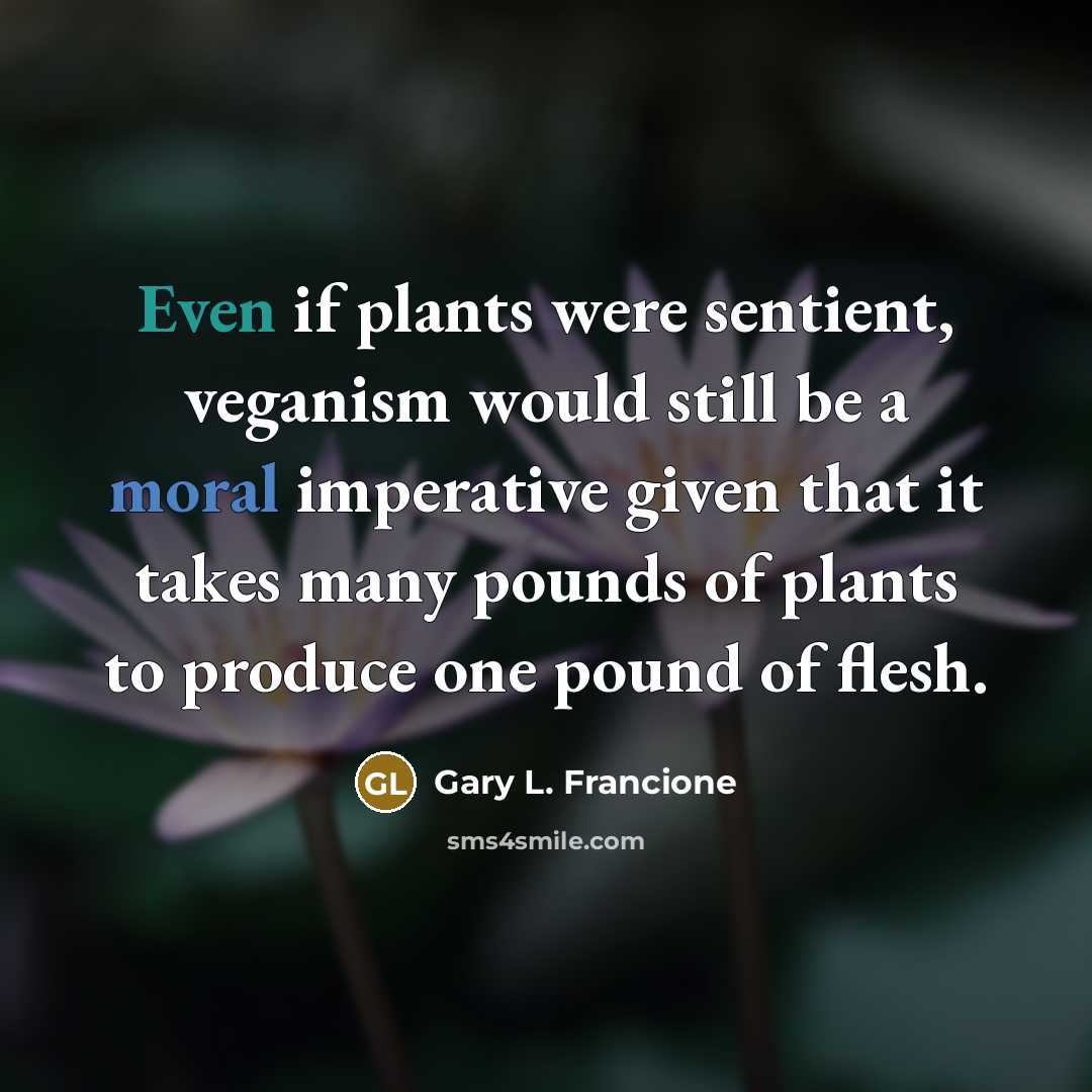 “Even if plants were sentient, veganism would still be a…” quote by Gary L. Francione