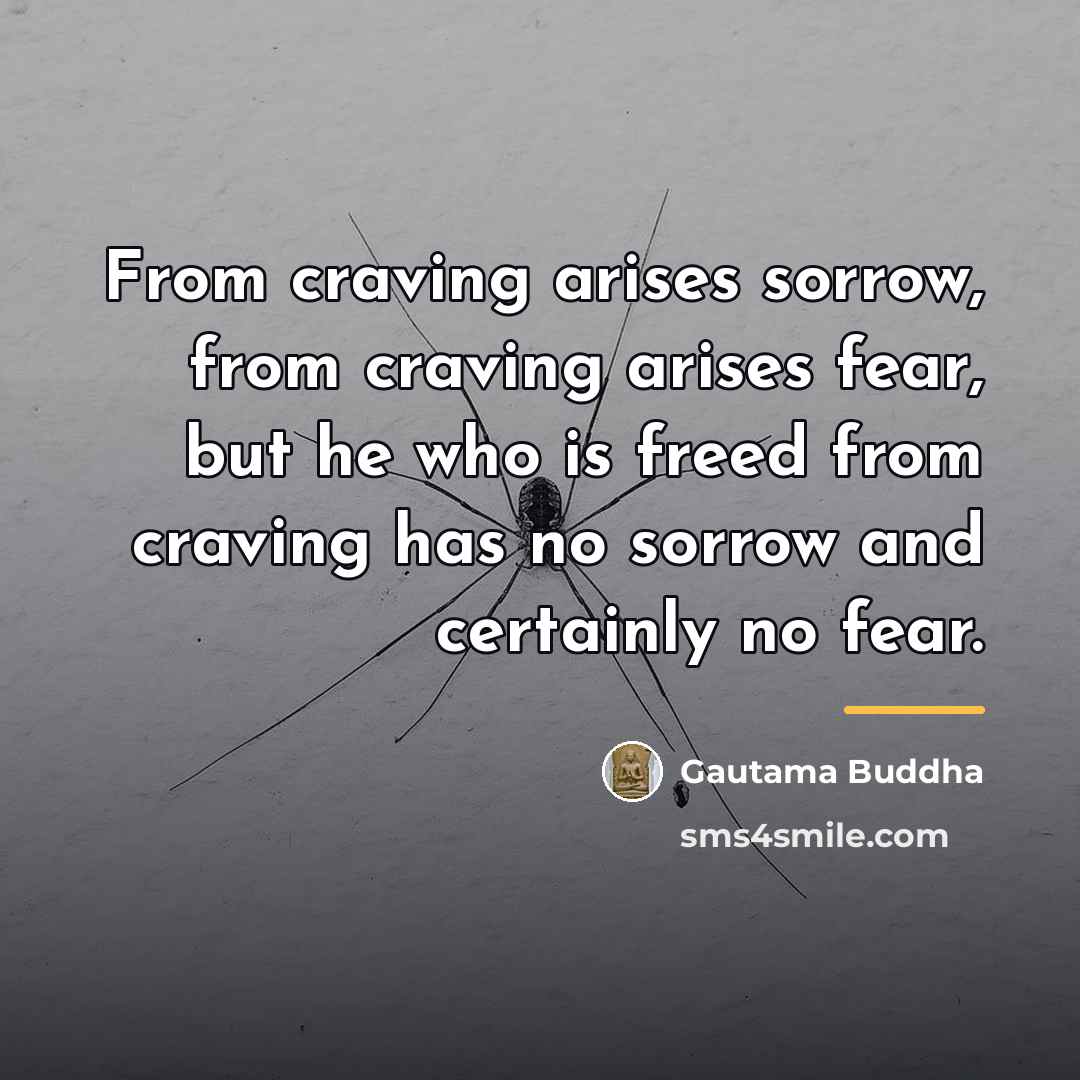 “From craving arises sorrow, from craving arises fear, but he…” quote by Gautama Buddha