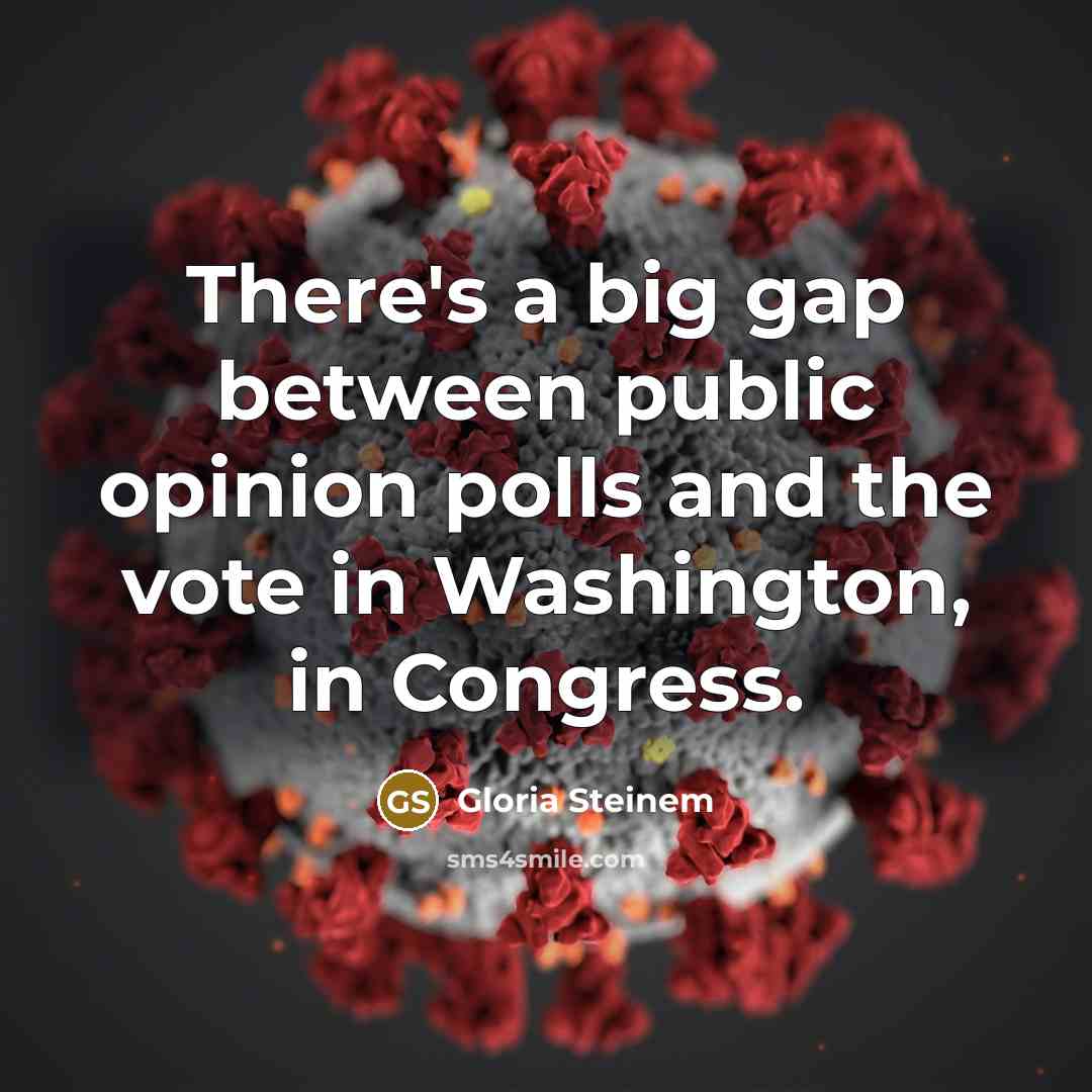 “There's a big gap between public opinion polls and the…” quote by Gloria Steinem