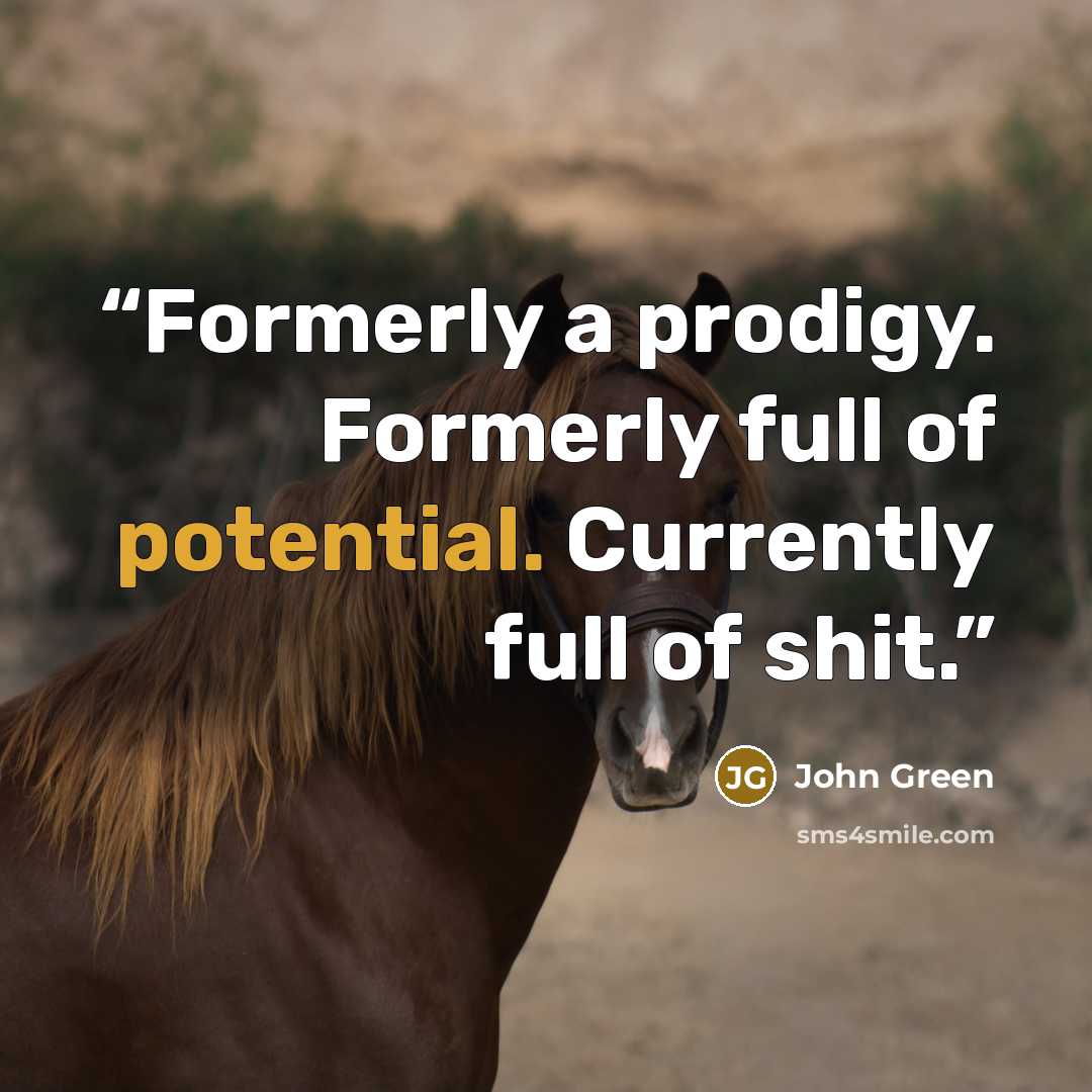 “Formerly a prodigy. Formerly full of potential. Currently full of shit.” quote by John Green