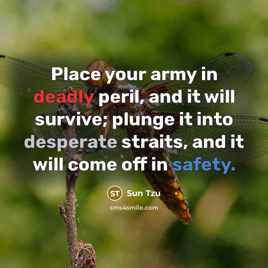 “Place your army in deadly peril, and it will survive;…” quote by Sun Tzu