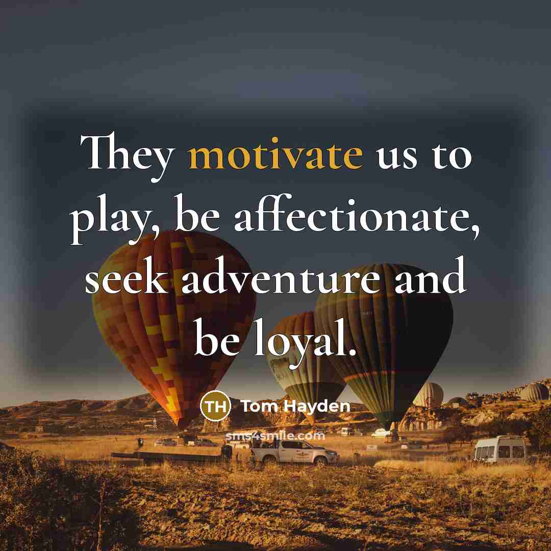 “They motivate us to play, be affectionate, seek adventure and…” quote by Tom Hayden