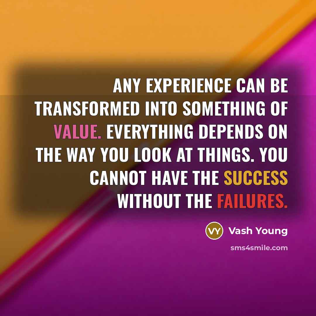 “Any experience can be transformed into something of value. Everything depends on the way you look at things. You cannot have the success without the failures.” quote by Vash Young