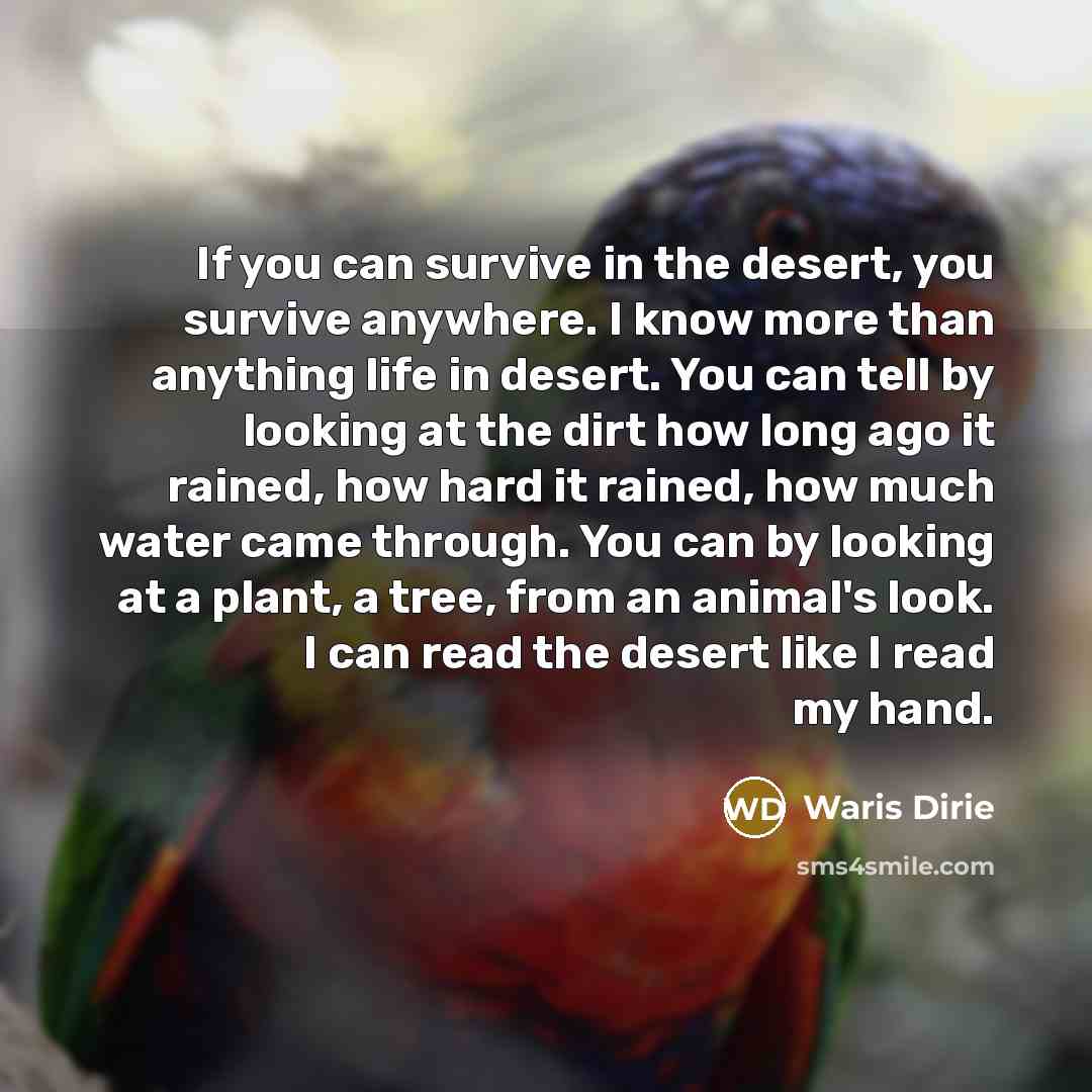 “If you can survive in the desert, you survive anywhere.…” quote by Waris Dirie