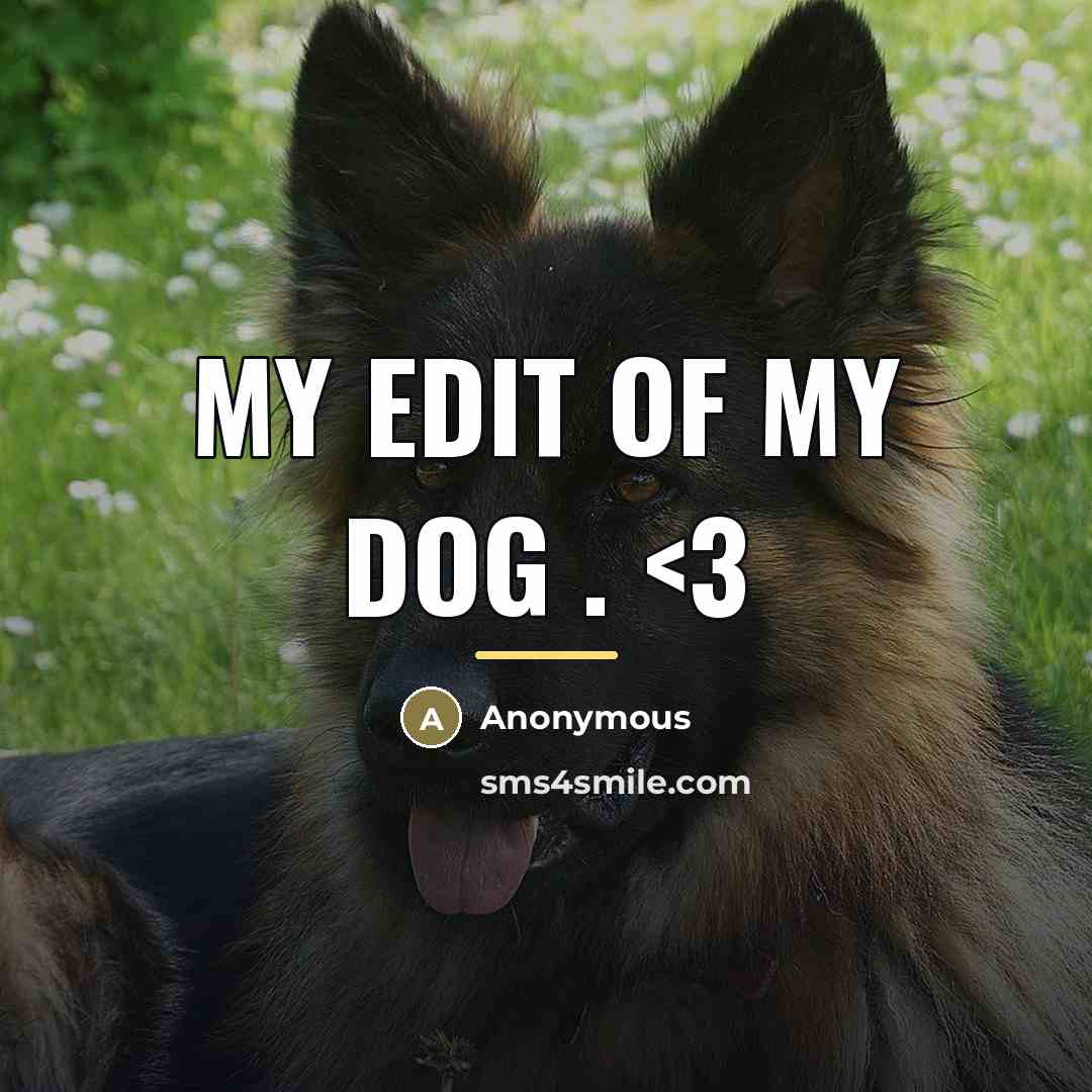 “My edit of my dog .…” quote by Anonymous