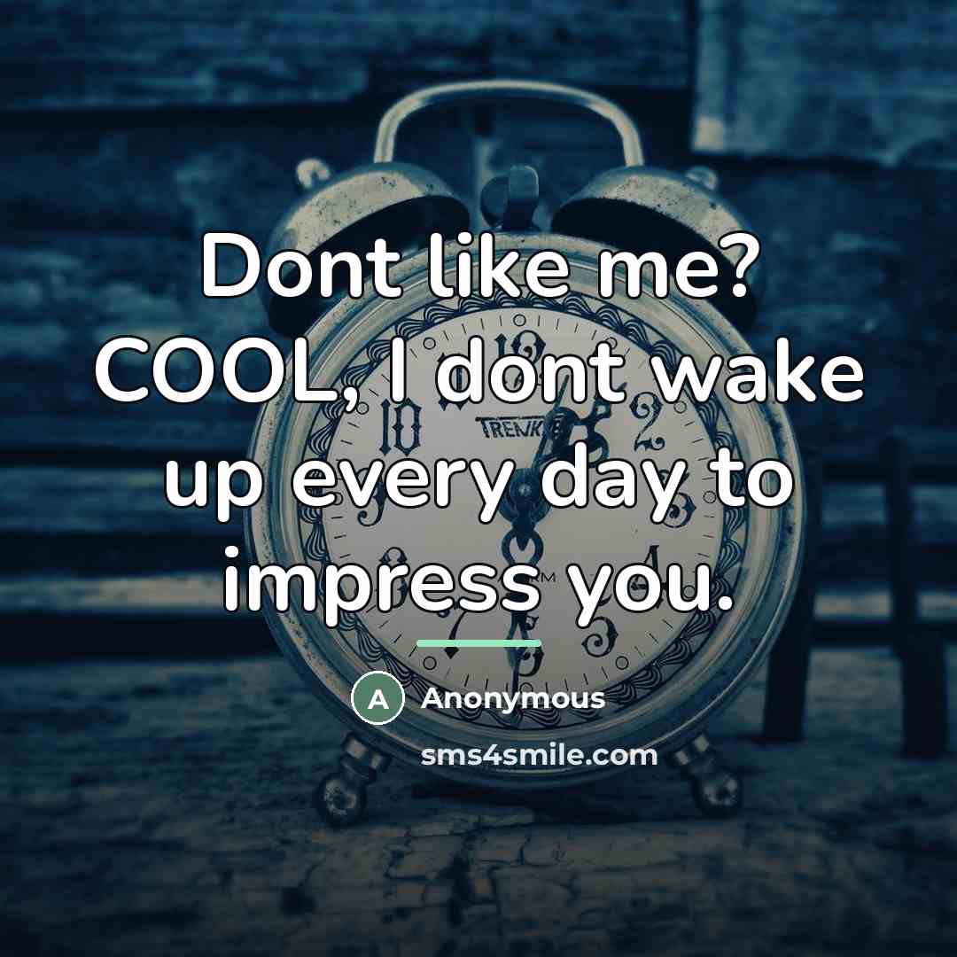 “Dont like me? COOL, I dont wake up every day…” quote by Anonymous