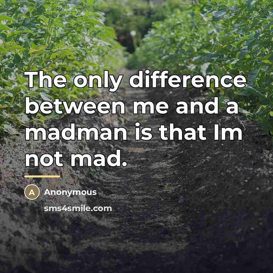“The only difference between me and a madman is that…” quote by Anonymous