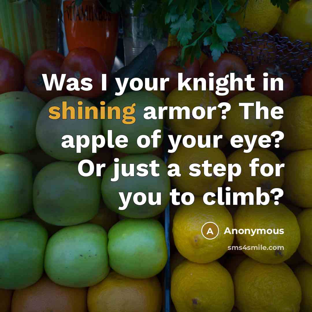 “Was I your knight in shining armor? The apple of…” quote by Anonymous