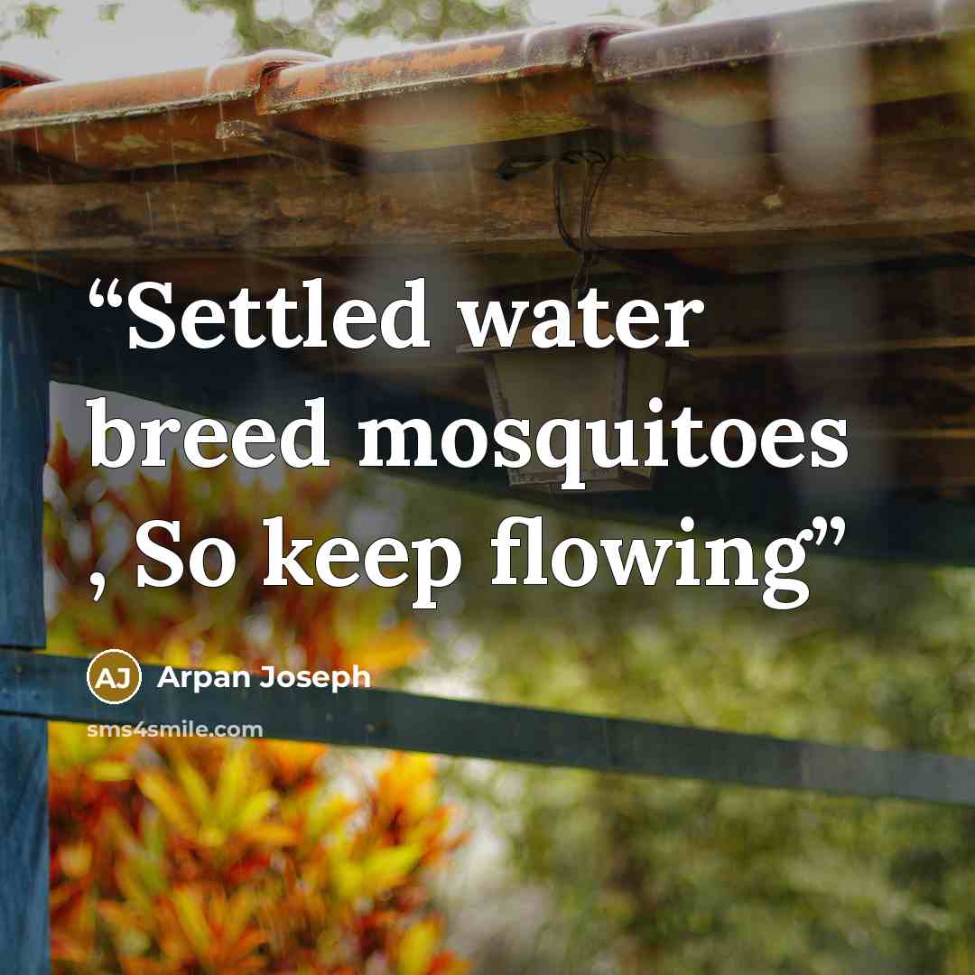 “Settled water breed mosquitoes , So keep flowing” quote by Arpan Joseph