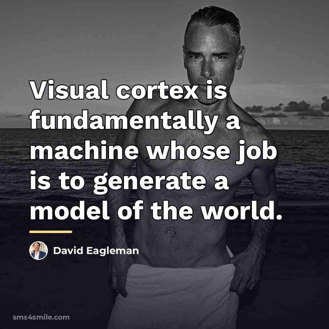 “Visual cortex is fundamentally a machine whose job is to…” quote by David Eagleman