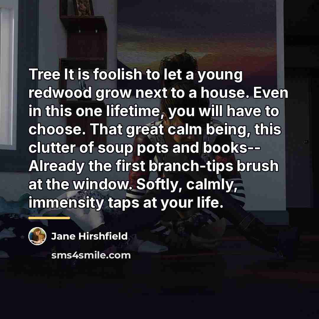 “Tree It is foolish to let a young redwood grow…” quote by Jane Hirshfield