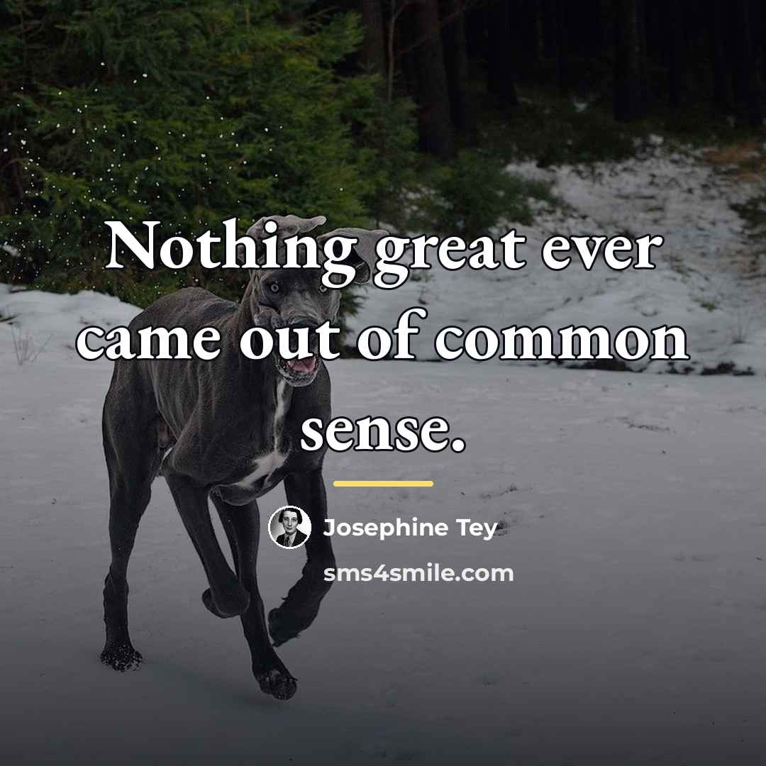 “Nothing great ever came out of common sense.…” quote by Josephine Tey