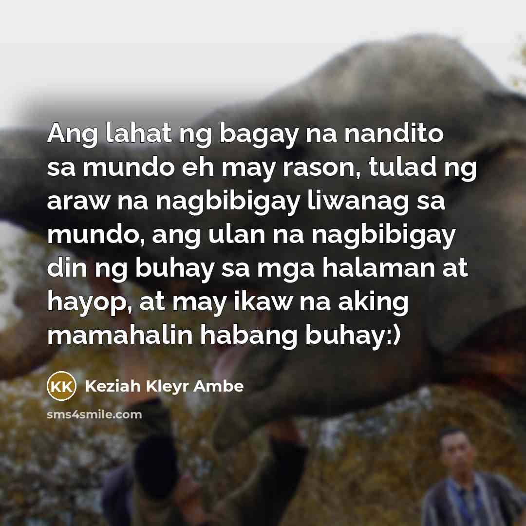 “Ang lahat ng bagay na nandito sa mundo eh may rason, tulad ng araw na nagbibigay liwanag sa mundo, ang ulan na nagbibigay din ng buhay sa mga halaman at hayop, at may ikaw na aking mamahalin habang buhay:)” quote by Keziah Kleyr Ambe
