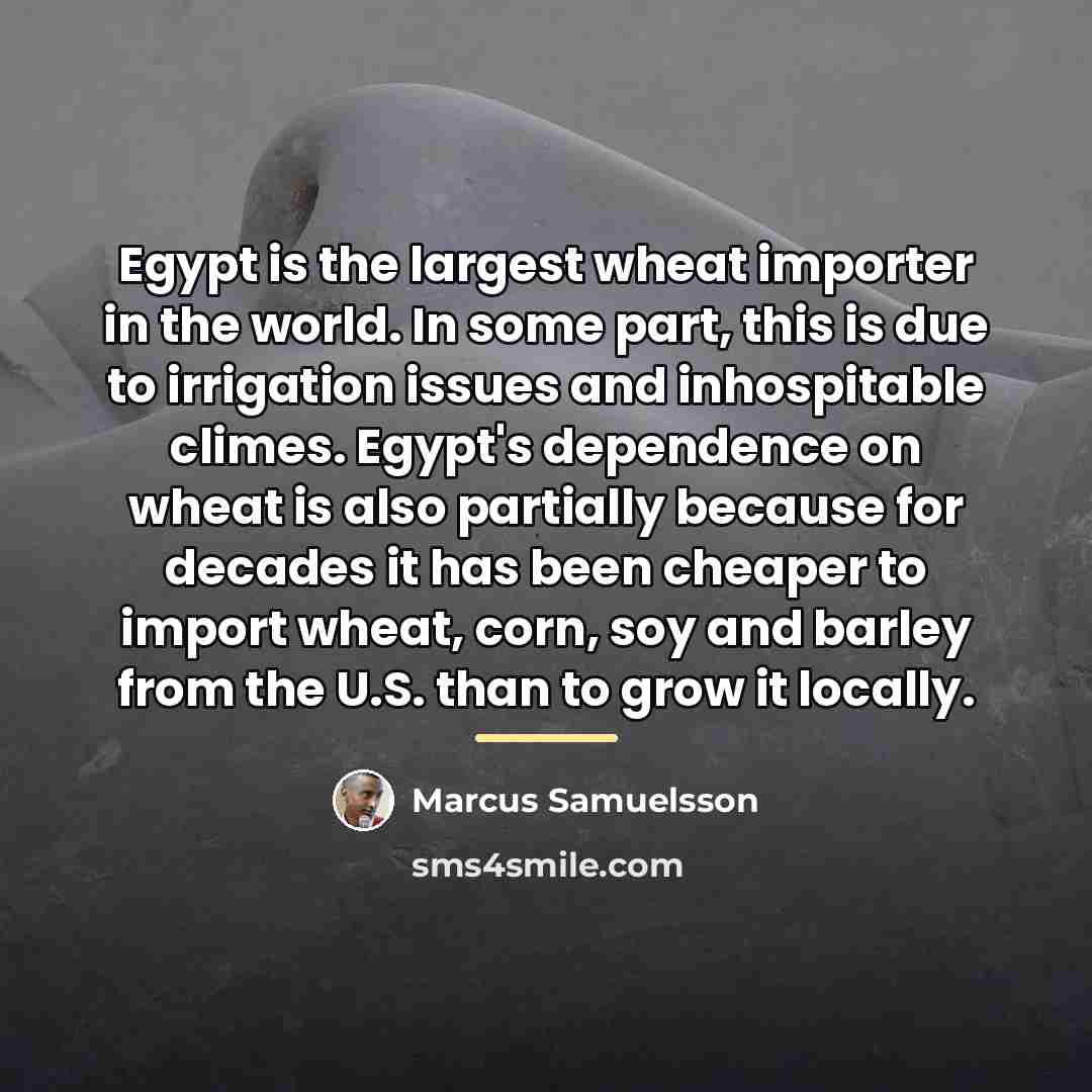 “Egypt is the largest wheat importer in the world. In…” quote by Marcus Samuelsson