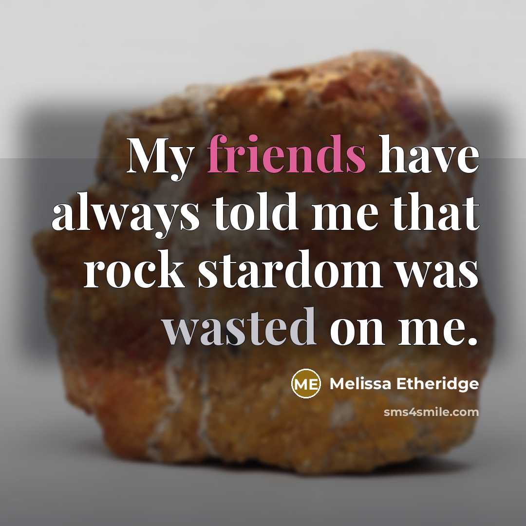 “My friends have always told me that rock stardom was wasted on me.” quote by Melissa Etheridge