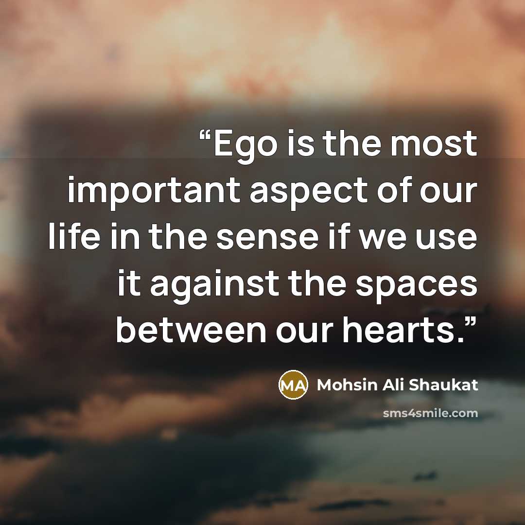 “Ego is the most important aspect of our life in the sense if we use it against the spaces between our hearts.” quote by Mohsin Ali Shaukat
