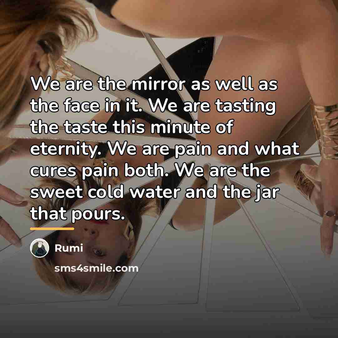 “We are the mirror as well as the face in…” quote by Rumi