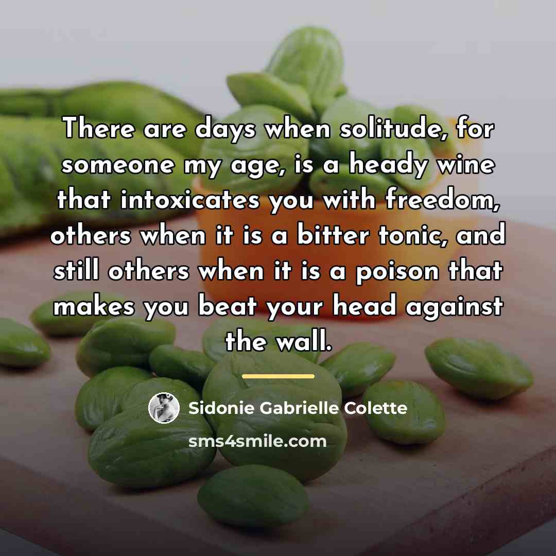 “There are days when solitude, for someone my age, is…” quote by Sidonie Gabrielle Colette