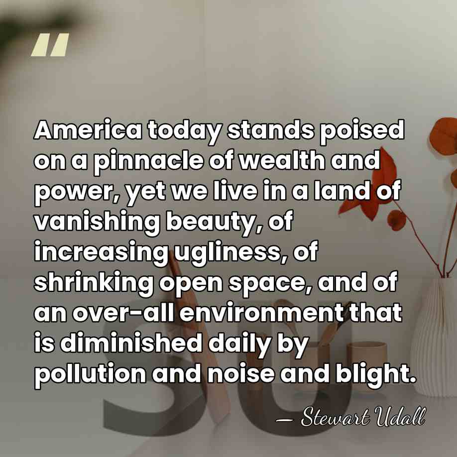 America today stands poised on a pinnacle of wealth and power, yet&hellip; - Stewart Udall