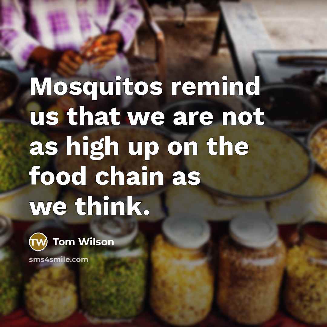 “Mosquitos remind us that we are not as high up on the food chain as we think.” quote by Tom Wilson
