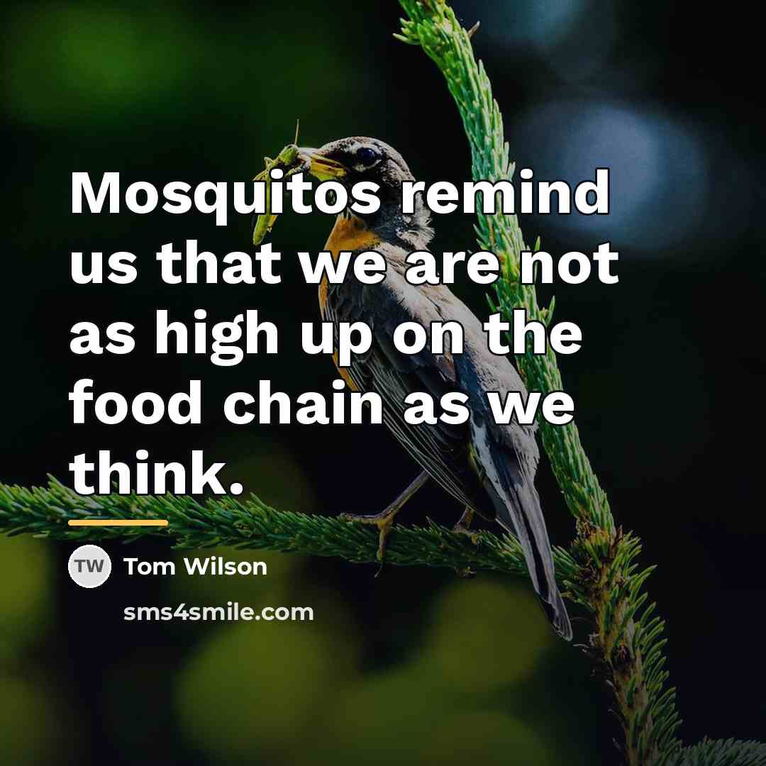 “Mosquitos remind us that we are not as high up…” quote by Tom Wilson