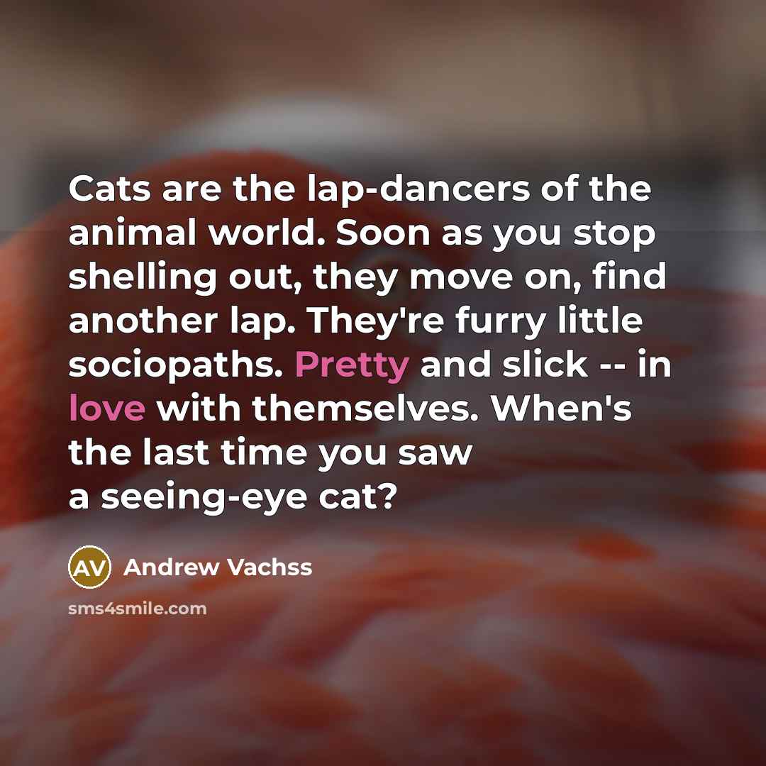 “Cats are the lap-dancers of the animal world. Soon as…” quote by Andrew Vachss