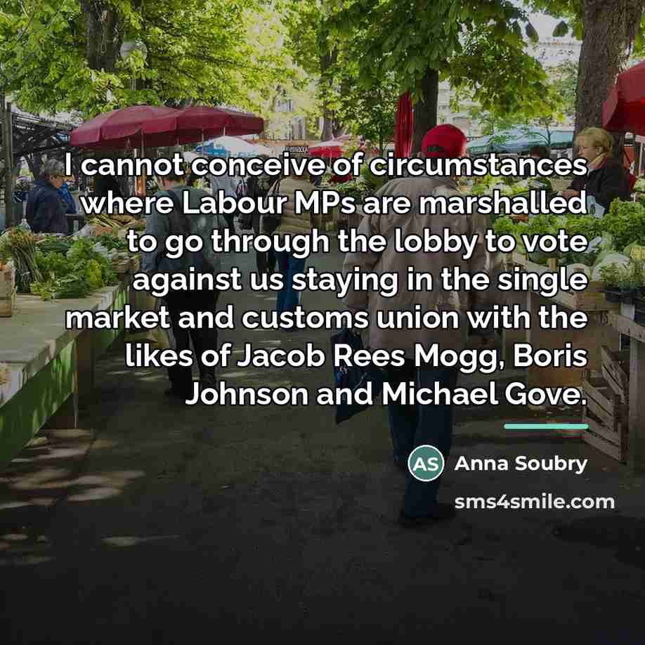 “I cannot conceive of circumstances where Labour MPs are marshalled…” quote by Anna Soubry