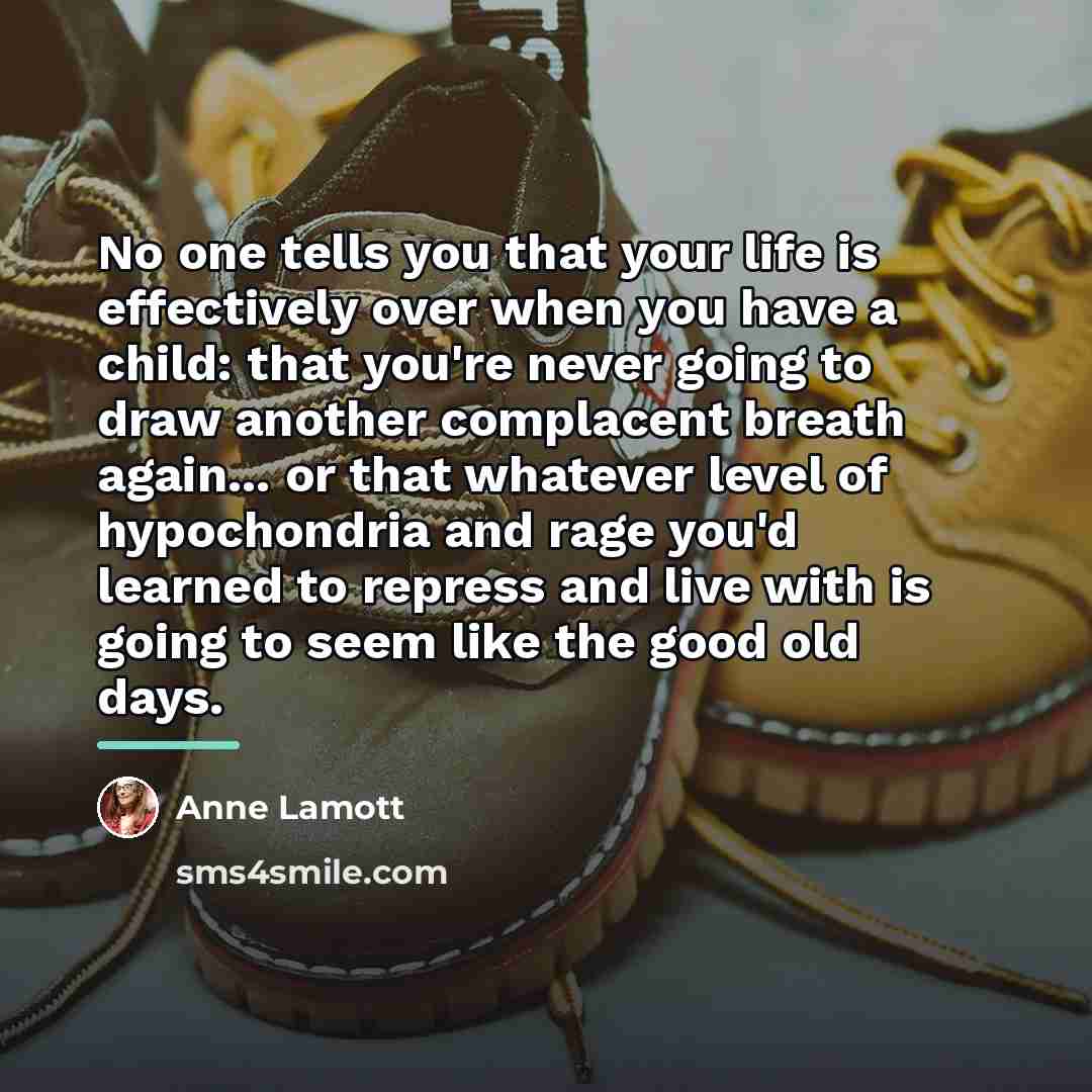 “No one tells you that your life is effectively over…” quote by Anne Lamott