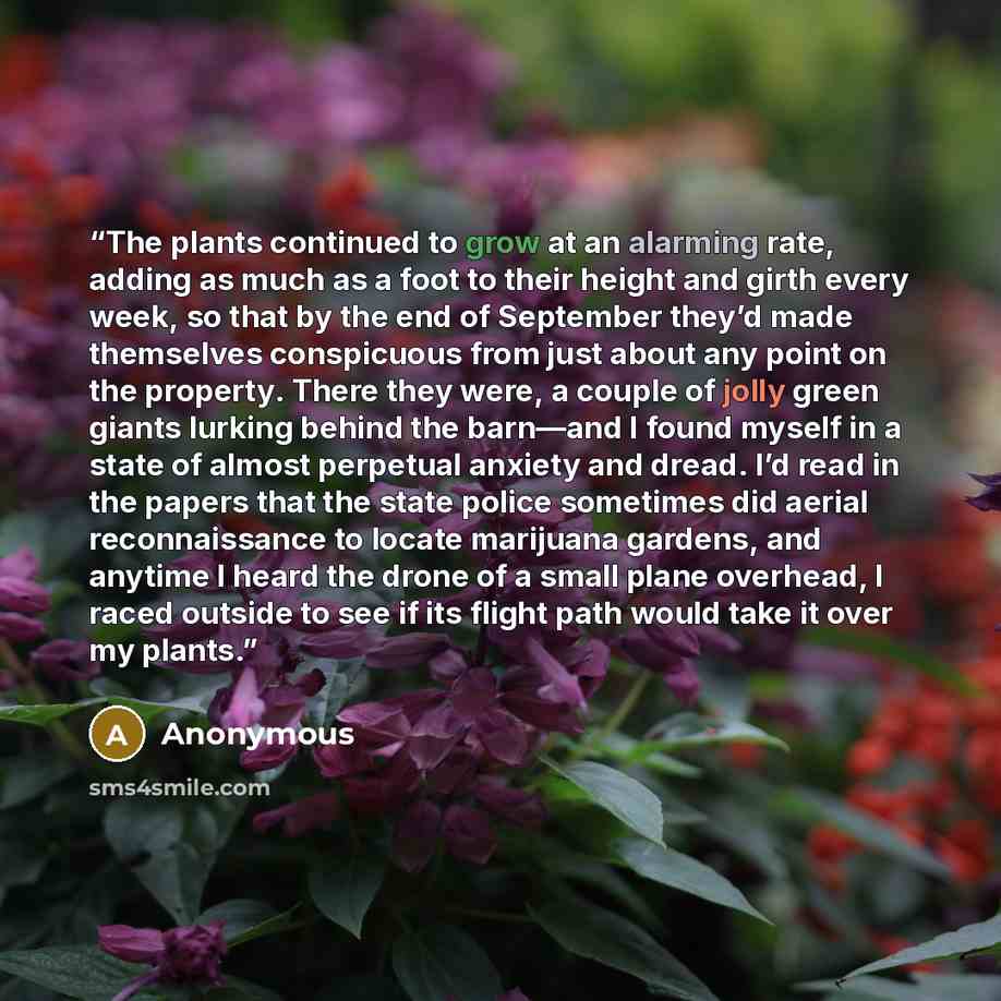 “The plants continued to grow at an alarming rate, adding as much as a foot to their height and girth every week, so that by the end of September they’d made themselves conspicuous from just about any point on the property. There they were, a couple of jolly green giants lurking behind the barn—and…” quote by Anonymous
